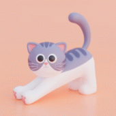 Cat lover items
